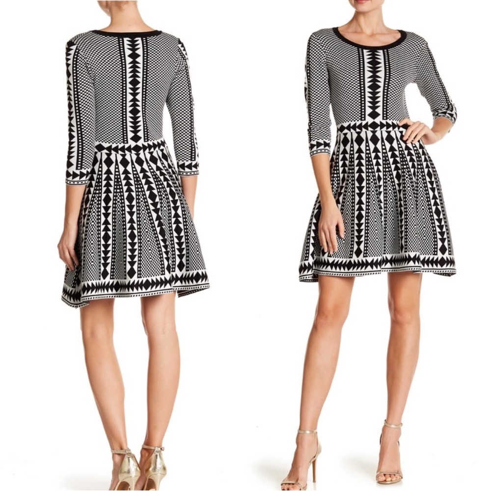 Nina Leonard Geometric‎ Fit and Flare Sweater Dress